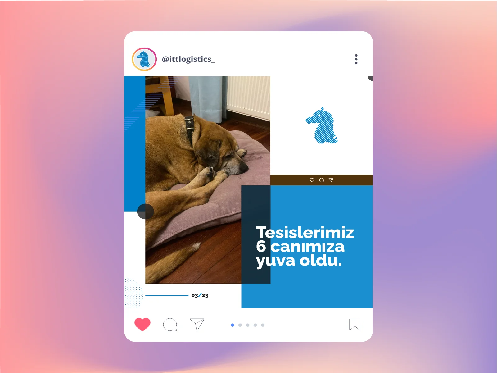 İG AJANS SOSYAL MEDYA