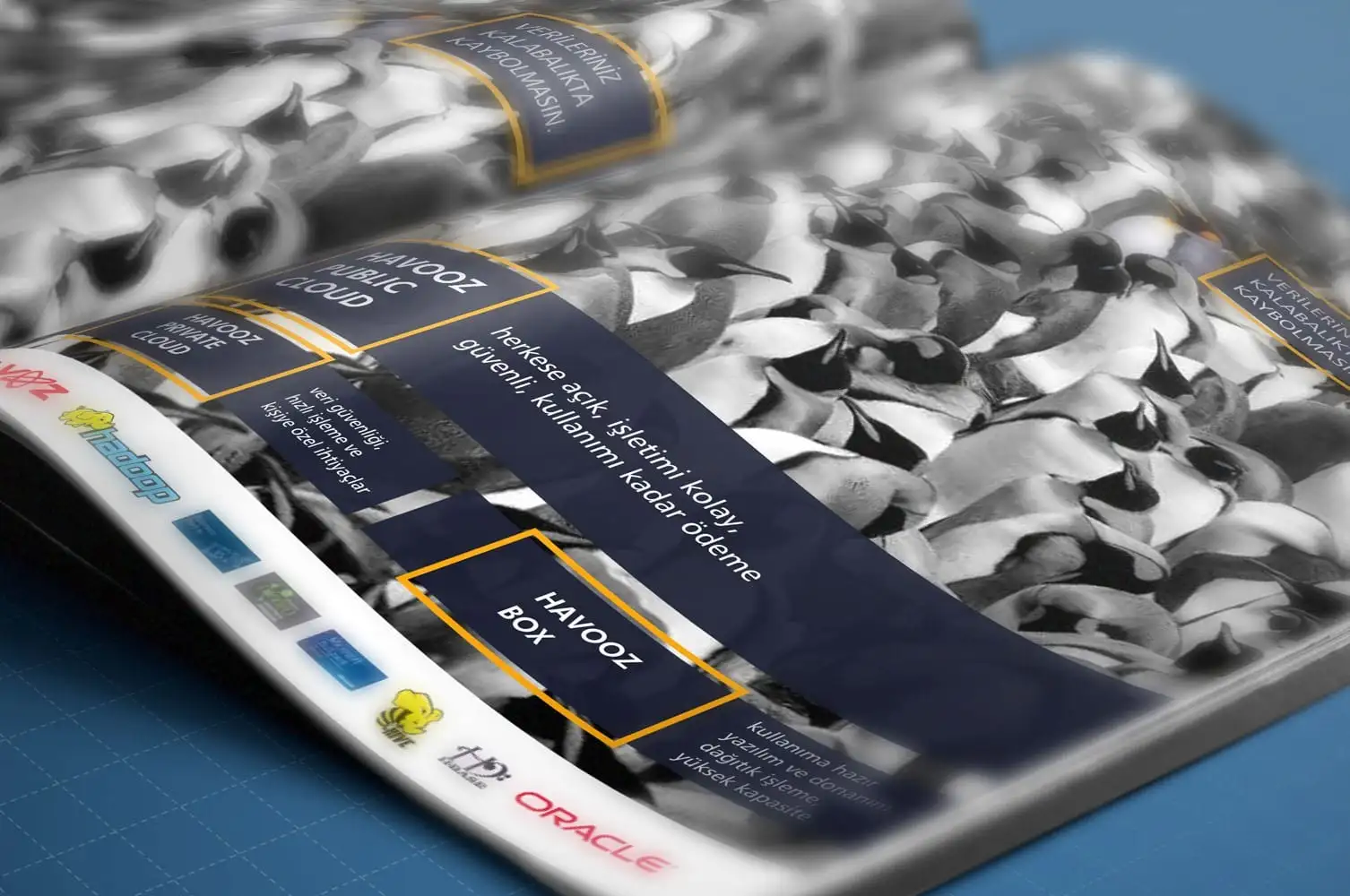 Havooz Dergi İlanı Tasarımı