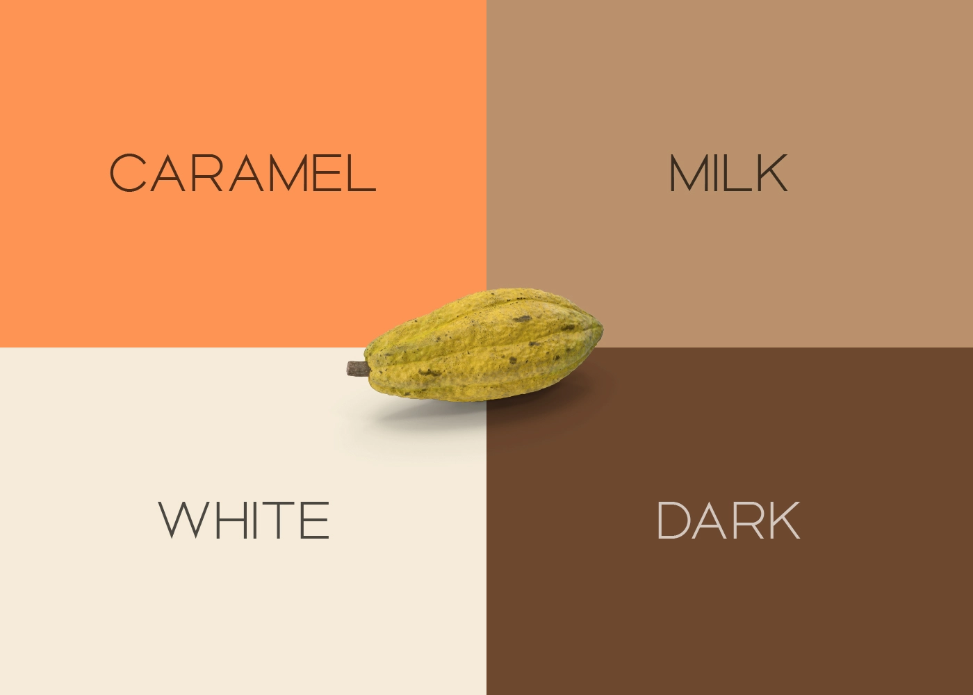 Xanadu Chocolate Konsept Tasarımı 1